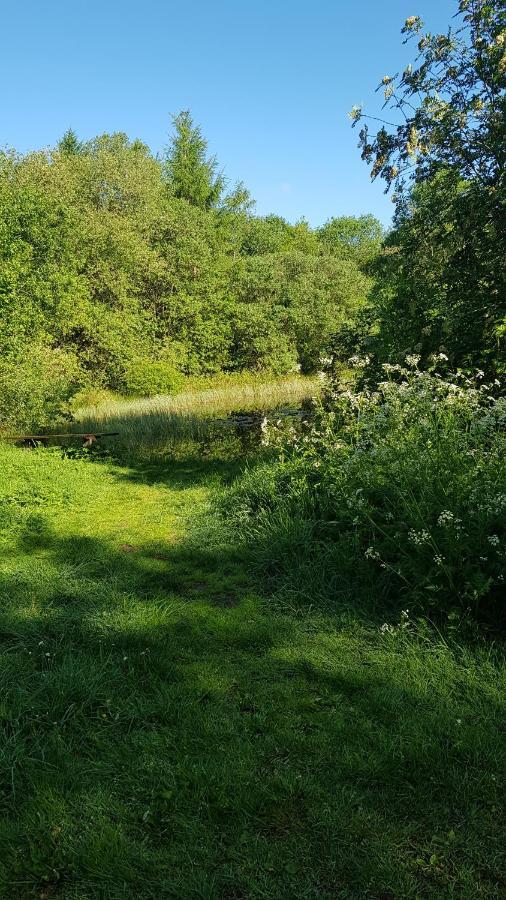 Basic Ingerichte Vouwwagen Op Camping Westenenk, Wijster Esterno foto